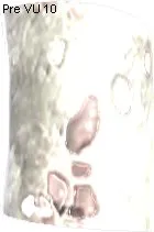 Chomper Hide