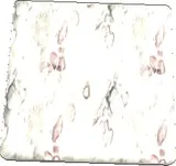Chomper Leather Texture