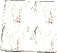 Chomper Leather Texture
