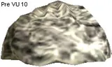 Chomper Wool