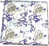 Cobalt Texture