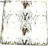 Cornundacauda Leather Texture