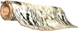 Cornundacauda Leather