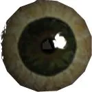 Cyclops Eye