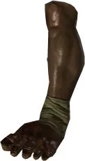 Cyclops Leg