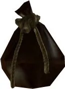 Cyclops Pouch