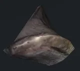 Dahhar Bone