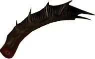 Drake Tail