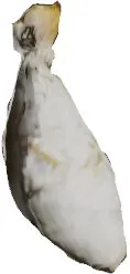 Duhol Sack of Bones