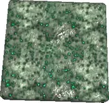 Erdorium Texture