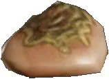 Exarosaur Meat