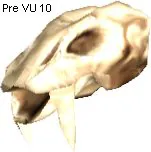 Exarosaur Skull