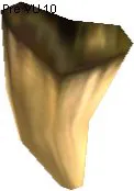 Exarosaur Tooth