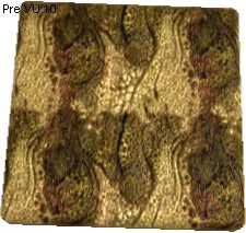 Faucervix Leather Texture