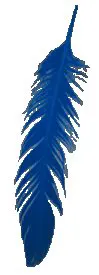Female Screecher Feather