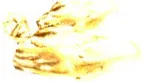 Flesh
