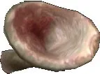 Foul Suctioncup
