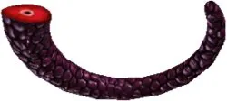 Garcia Tail