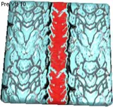 Gradivore Leather Texture