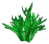 Green Crystal