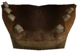 Hadraada Mandible