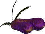 Haimoros