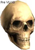 Human Skull