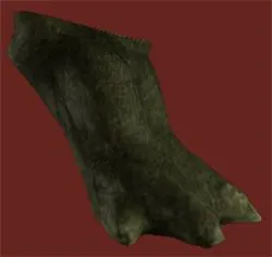 Huon Foot