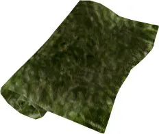 Jellyworm Hide
