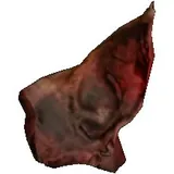 Khaffash Bone