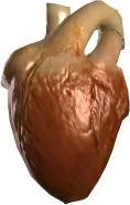 Kiana Heart