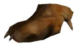 Kiana Paw