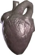 Korwil Heart