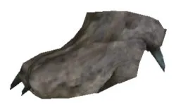 Korwil Paw