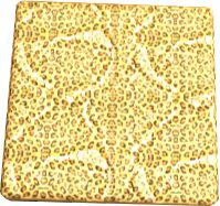 Leopard Texture