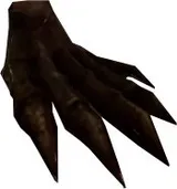 Lesser Claw