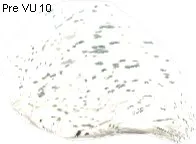 Lysterium Stone