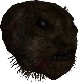Maffoid Head