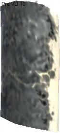 Mermoth Skin