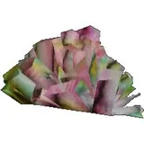 Mokhat Jelly