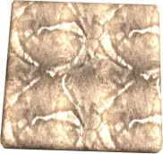 Morrison Dragon Texture