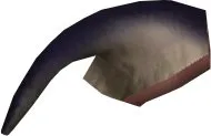 Nusul Tail