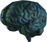 Oro Brain