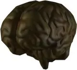 Otorugi Brain