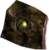 Otorugi Eye