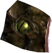 Otorugi Eye