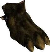 Otorugi Foot