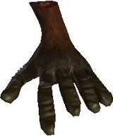 Papoo Foot