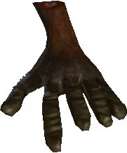 Papoo Foot