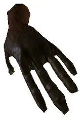 Papoo Palm